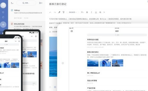 2024年网易有道软件排行榜、免费试用技巧与设计开发趋势全解析