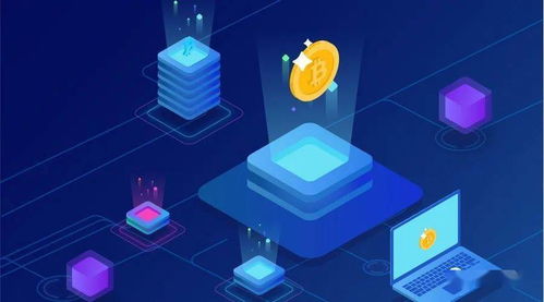 煤矿开采知识大全 从基础理论到软件设计开发应用